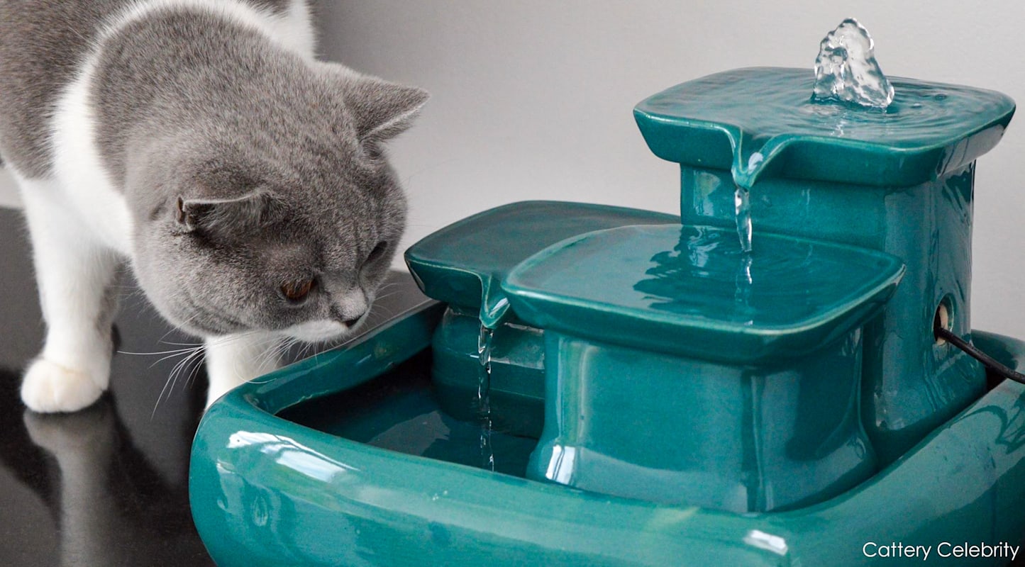 Miaustore Cat Water Fountain to Keep your Cat Hydrated