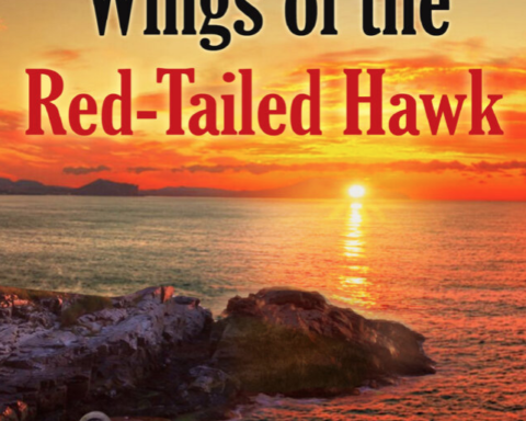 On the Wings of the Red-Tailed Hawk