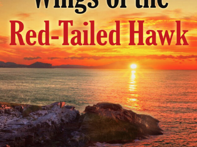 On the Wings of the Red-Tailed Hawk